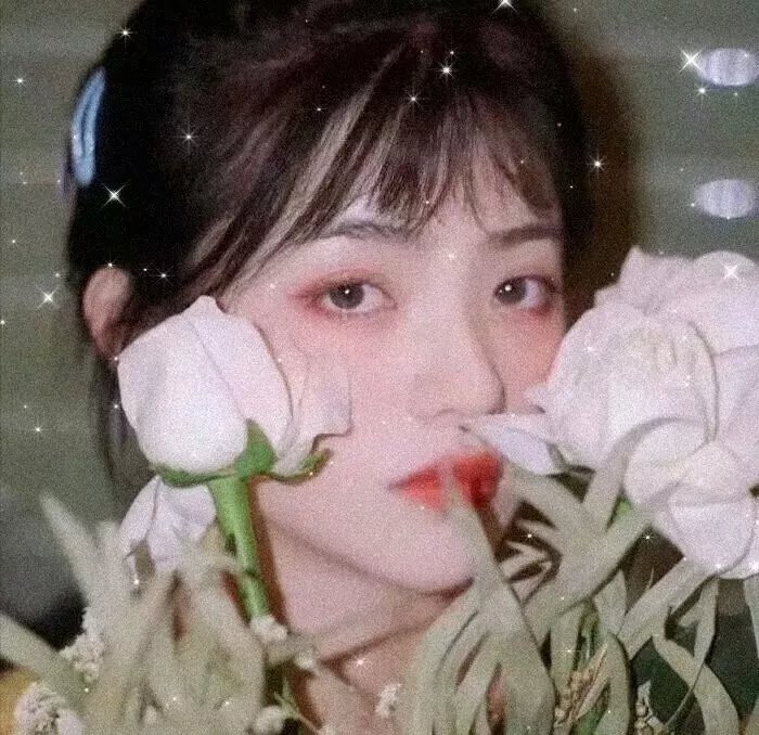 在越南最后的日子